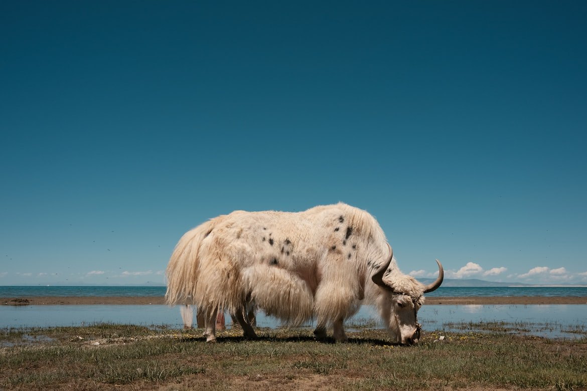 晉城／吉縣